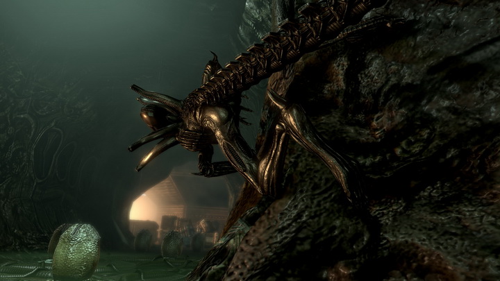 avp_d3d11_benchmark-2011-02-23-22-53-13-91 avp d3d11 benchmark 2011 02 23 22 53 13 91 ASUS Geforce GT440 1GB GDDR5 Review