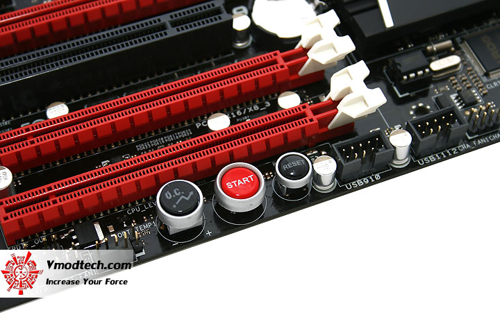  mg 5653 Asus Crosshair V Formula Review