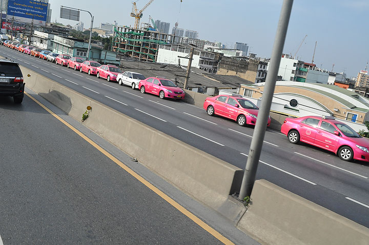 dsc 0051 Vmodtech.com ออกช่วยสุนัขที่ประสบภัยน้ำท่วม