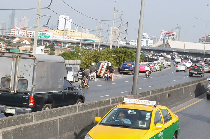 dsc 0063 Vmodtech.com ออกช่วยสุนัขที่ประสบภัยน้ำท่วม