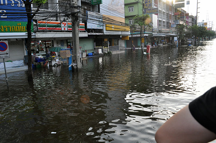 dsc 0086 Vmodtech.com ออกช่วยสุนัขที่ประสบภัยน้ำท่วม