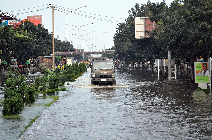 dsc 0097 Vmodtech.com ออกช่วยสุนัขที่ประสบภัยน้ำท่วม