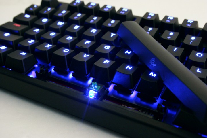 img_5412_800 img_5412_800