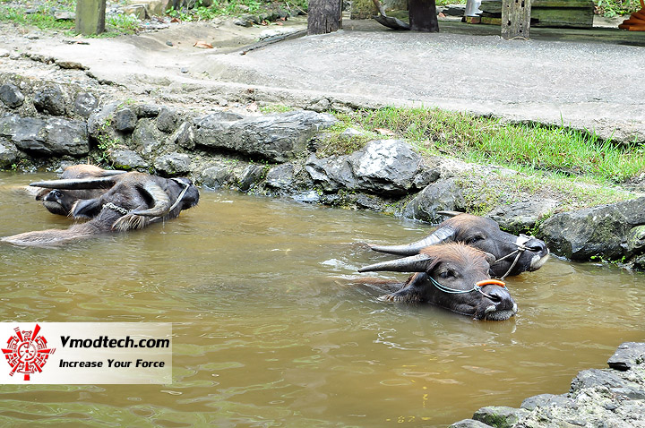 dsc 0212 ECS Media Tour 2012