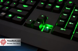 dsc 0130 300x198 Razer BlackWidow Ultimate 2013 Review