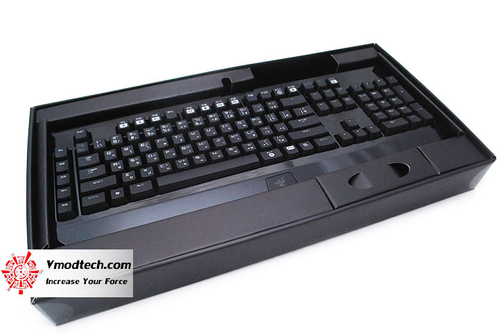 dsc 0657 Razer BlackWidow Ultimate 2013 Review