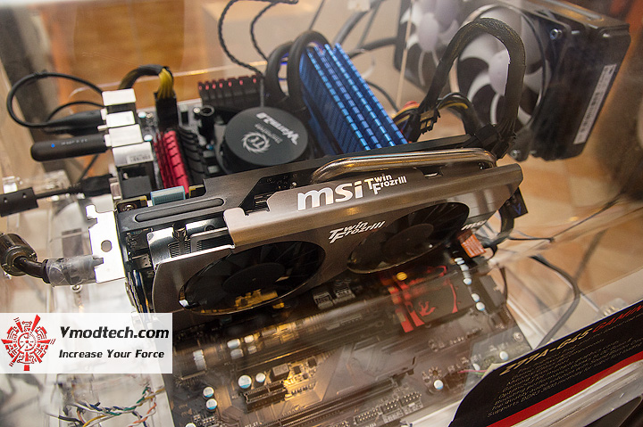 dsc_1687-copy dsc_1687-copy