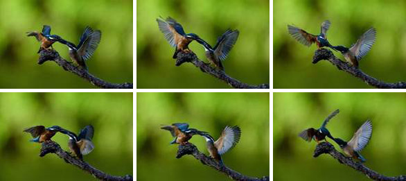 04 04 นิคอนเปิดตัว D610 กล้องดิจิตอล SLR แบบฟูลเฟรมขนาดเล็กและเบาที่สุด ที่มาพร้อมประสิทธิภาพเหนือชั้นเพื่อสร้างสรรค์ภาพถ่ายคุณภาพสูง ตอบสนองทุกการใช้งาน