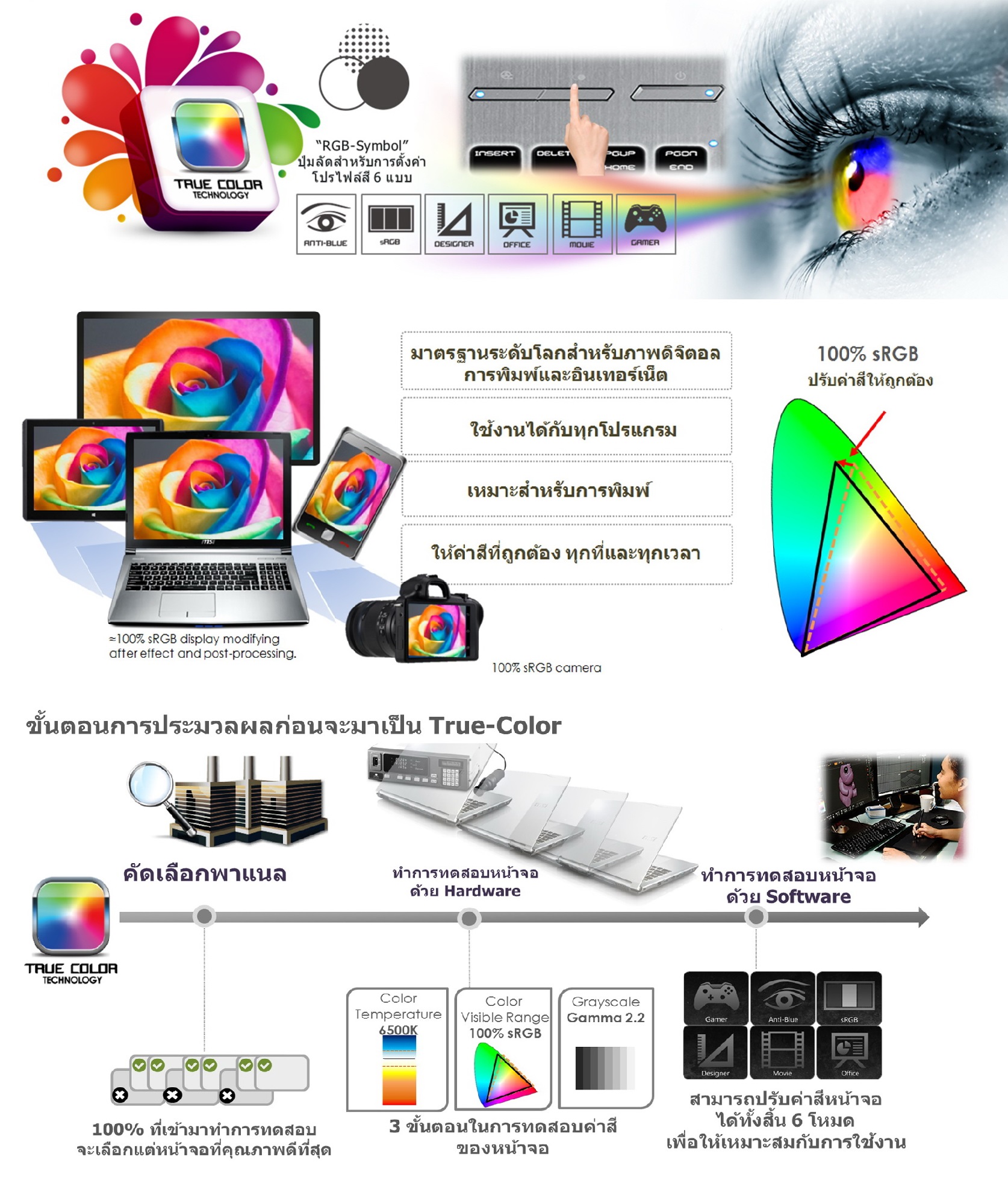 true-color true color MSI PRESTIGE SERIES PROMOTION ตอบสนองทุกการใช้งาน และพกพา เพื่อนักออกแบบ และช่างภาพมืออาชีพ