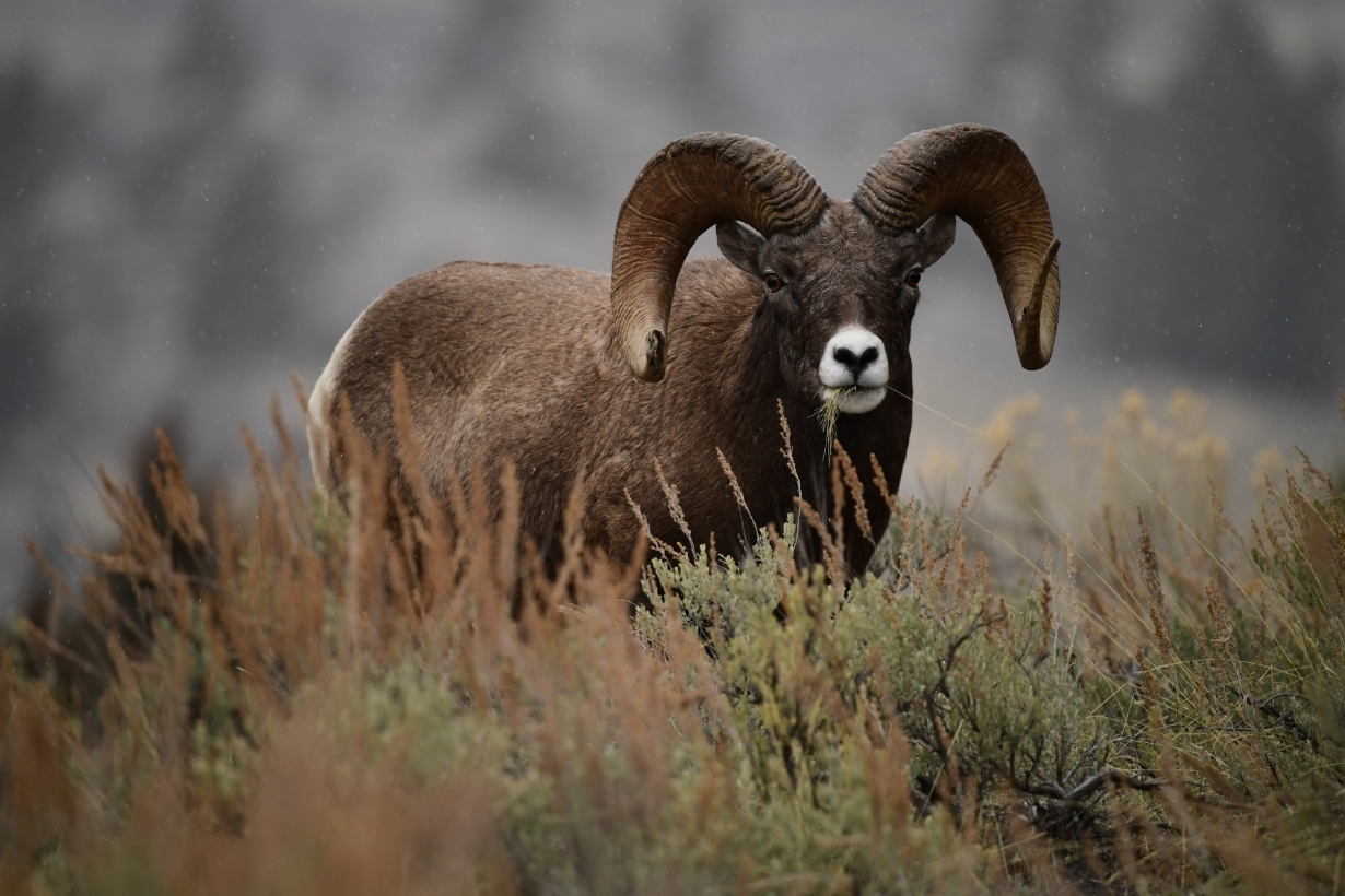 180 400mm f4e  03 rp 0352 web เลนส์ AF S NIKKOR 180 400mm f/4E TC1.4 FL ED VR มอบประสิทธิภาพเหนือระดับ พร้อมฟังก์ชันตอบโจทย์ทุกการใช้งาน 