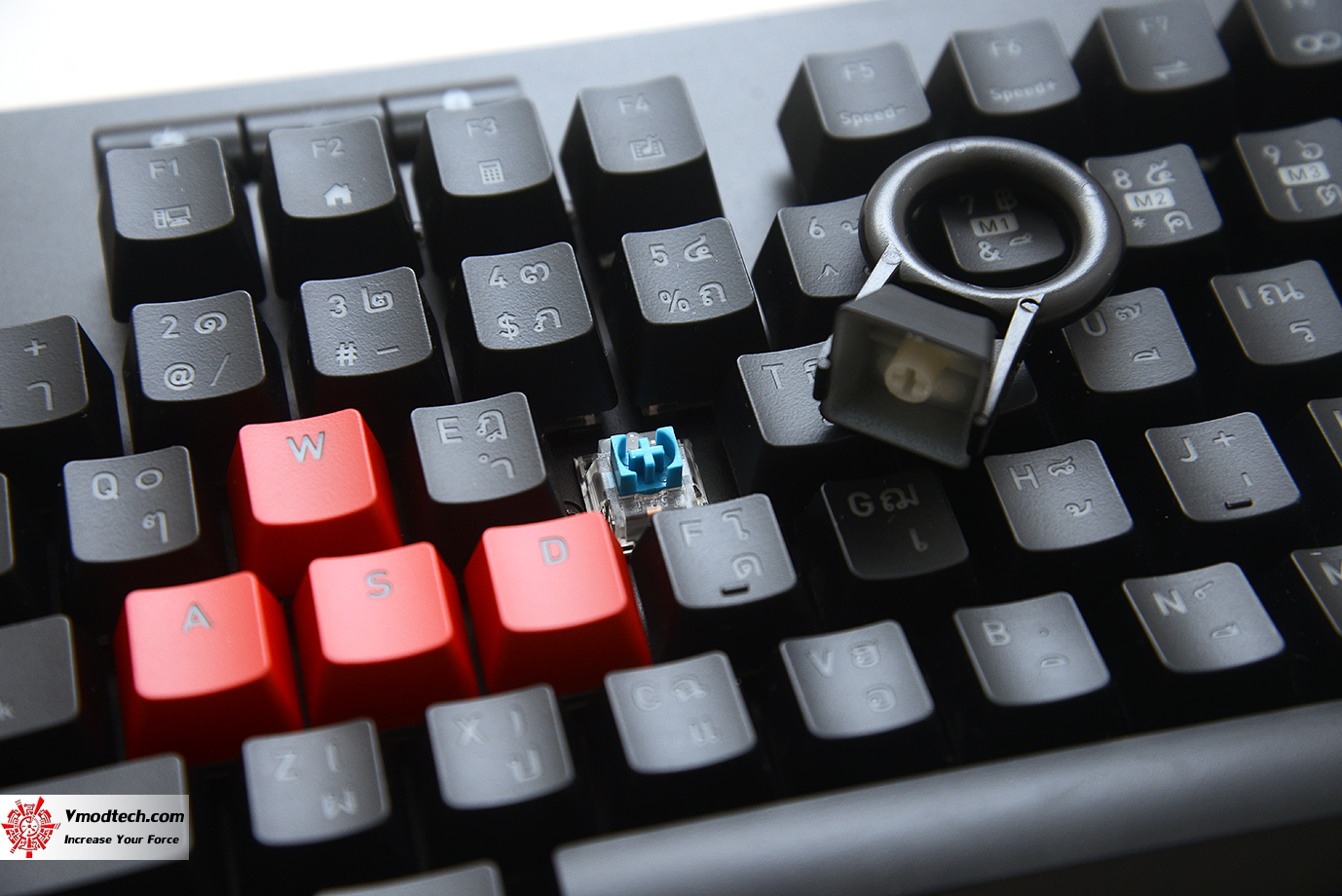 dsc 6877 Tt eSPORTS Neptune Elite RGB Blue Gaming Keyboard Review