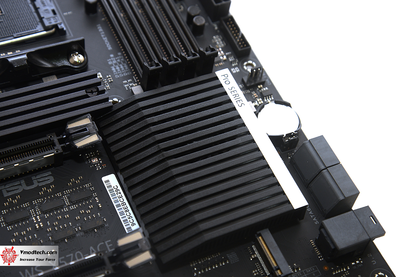 dsc 5246 ASUS Pro WS X570 ACE REVIEW
