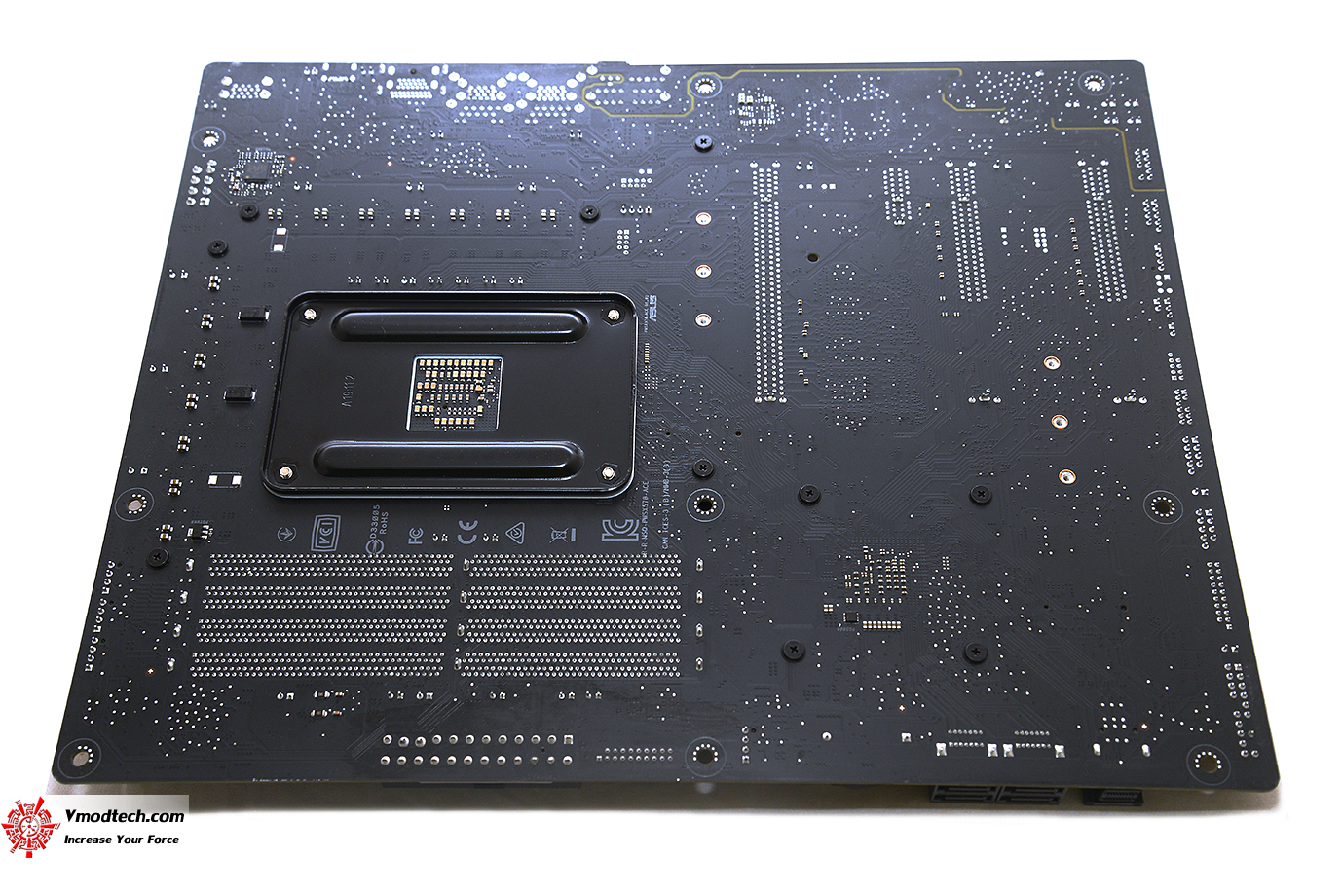 dsc 5278 ASUS Pro WS X570 ACE REVIEW
