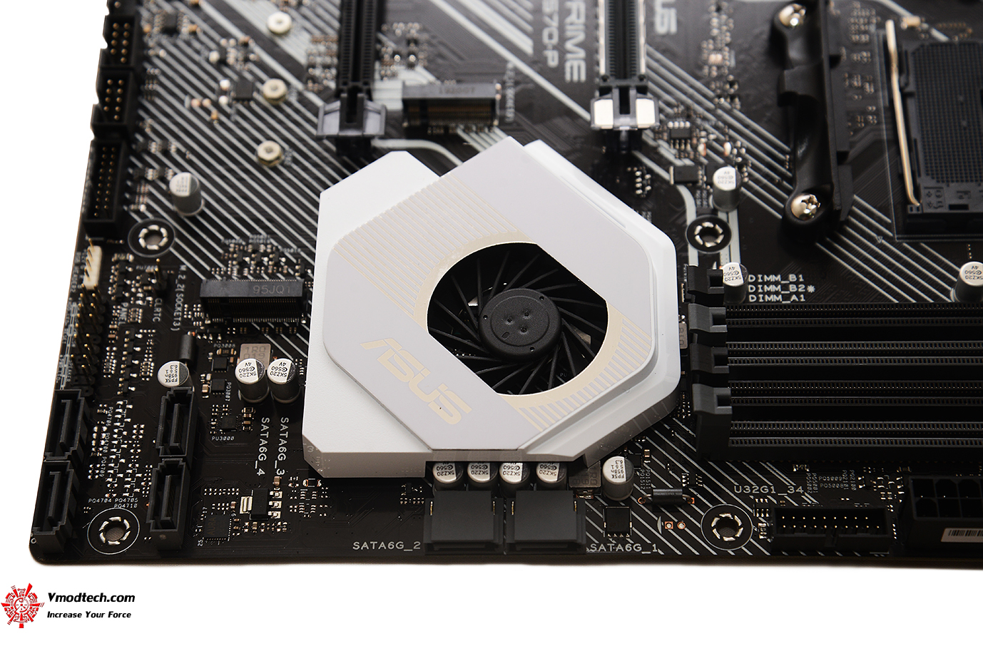 dsc 6773 ASUS PRIME X570 P/CSM REVIEW