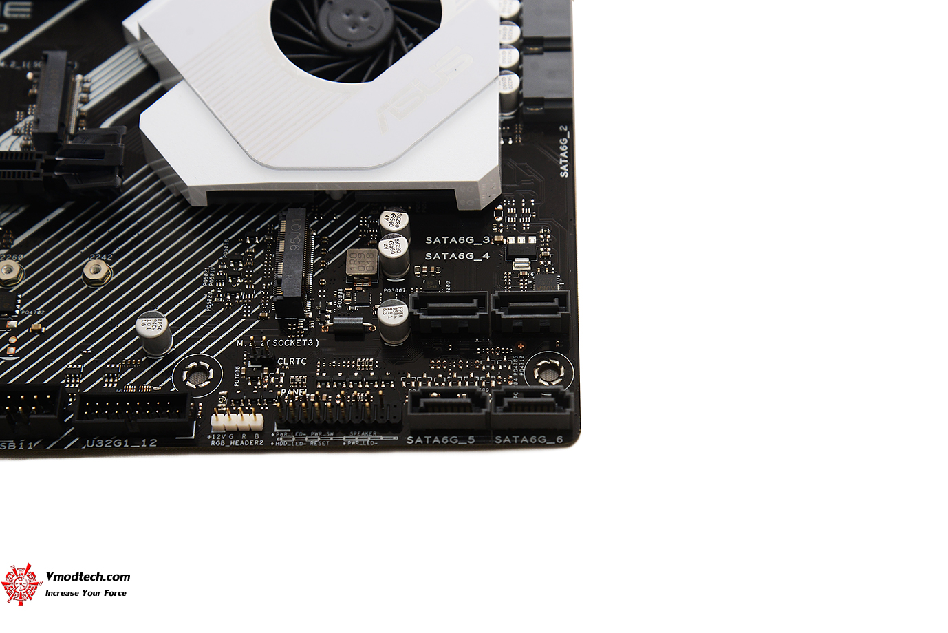 dsc 6781 ASUS PRIME X570 P/CSM REVIEW