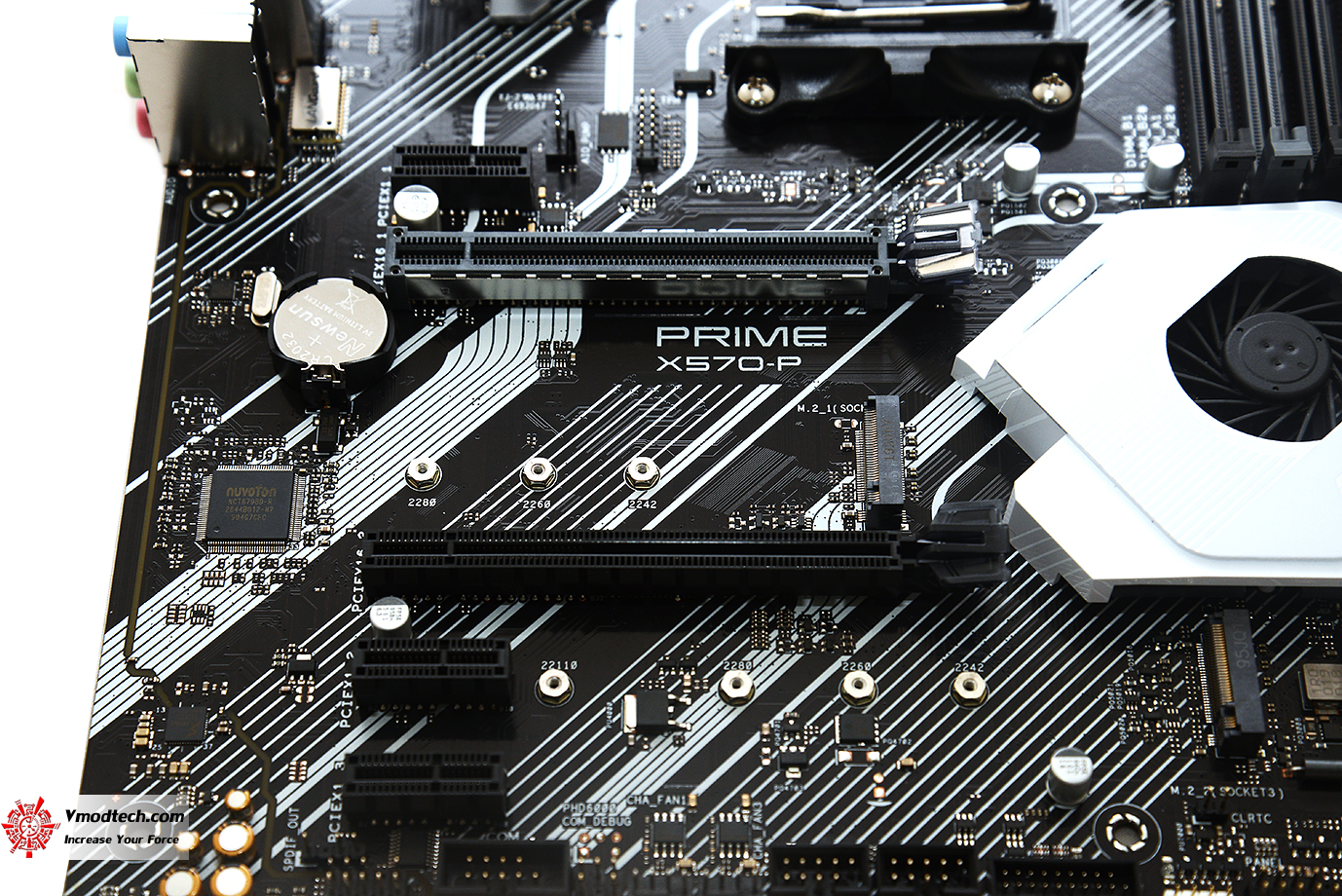 dsc 6804 ASUS PRIME X570 P/CSM REVIEW