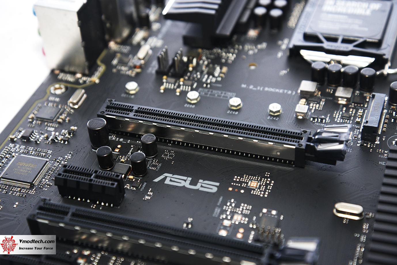 dsc 0572 ASUS Pro WS C246 ACE Review