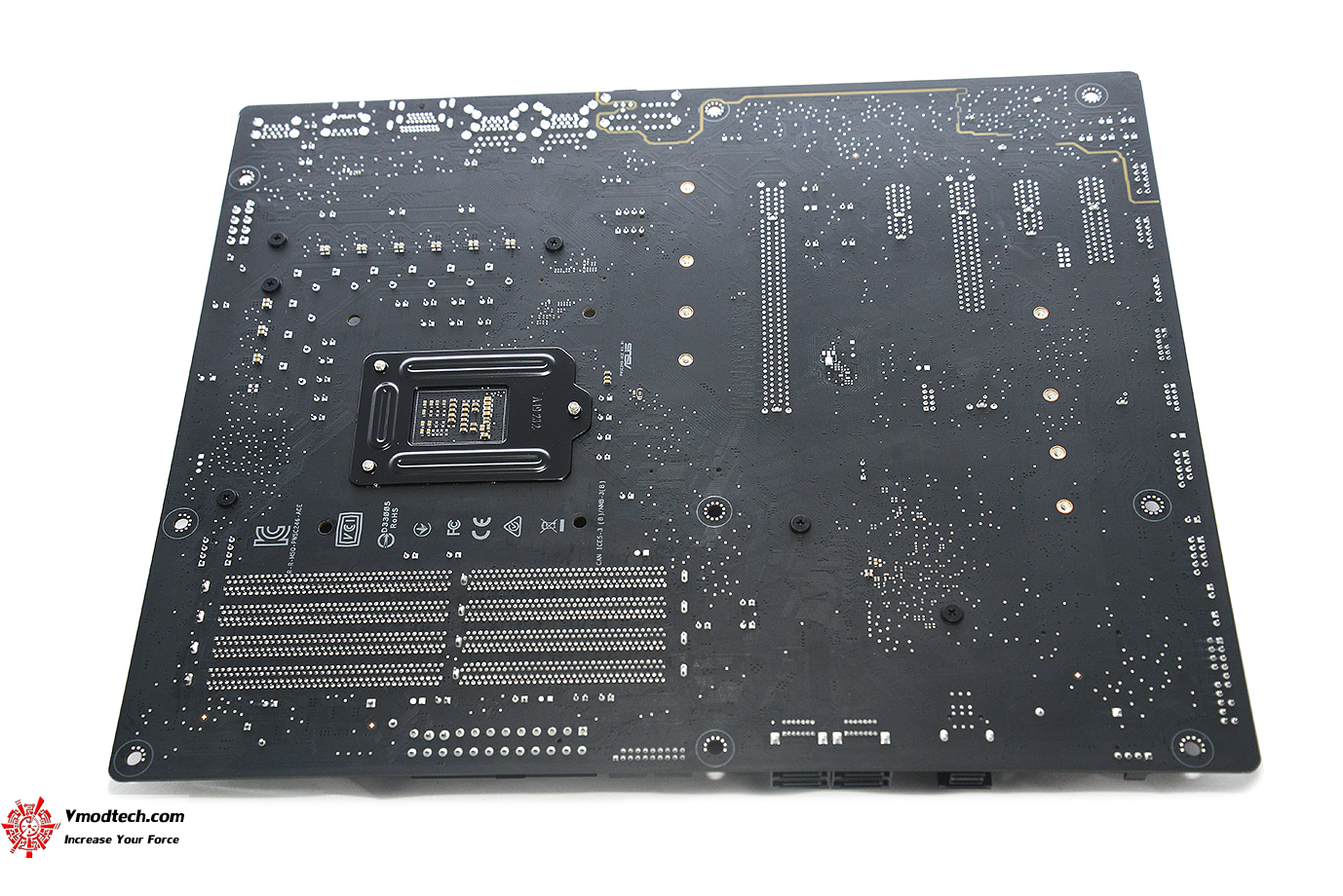 dsc 0590 ASUS Pro WS C246 ACE Review