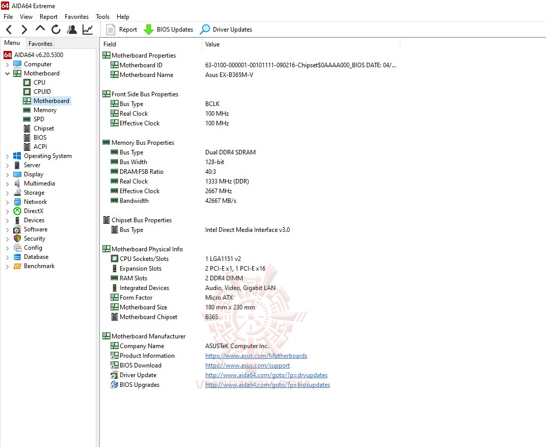 mb ASUS EX B365M V REVIEW