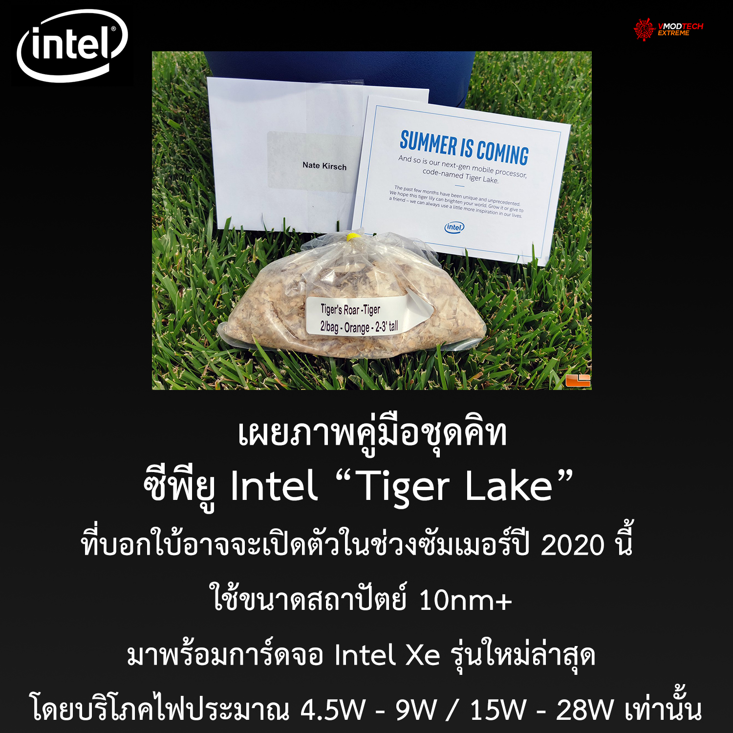 intel-tiger-lake-summer-2020 intel tiger lake summer 2020 เผยภาพคู่มือชุดคิทซีพียู Intel Tiger Lake ที่บอกใบ้อาจเปิดตัวในช่วงซัมเมอร์นี้