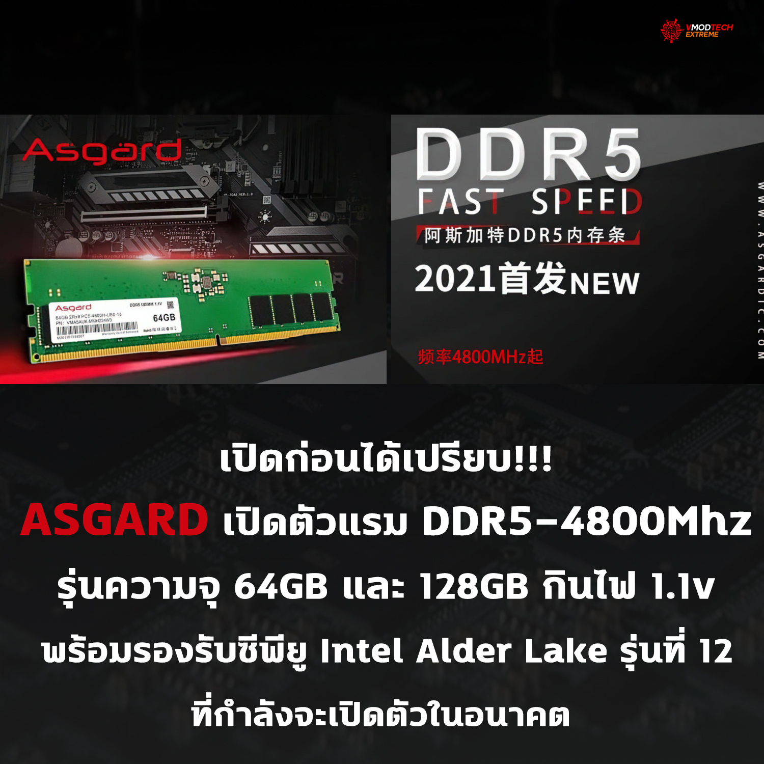 asgard ddr5 4800mhz intel alder lake ASGARD เปิดตัวแรม DDR5 4800Mhz พร้อมรองรับซีพียู Intel Alder Lake รุ่นที่ 12 ที่จะเปิดตัวในอนาคต 