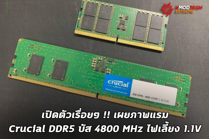 crucial ddr5 เปิดตัวเรื่อยๆ !! เผยภาพ Crucial DDR5 บัส 4800 MHz ไฟเลี้ยง 1.1V 