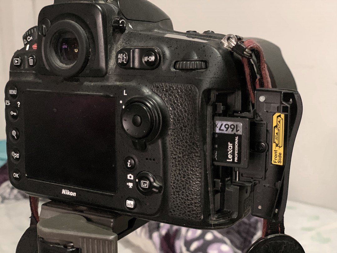 pic pic Lexar Professional 1667x 256GB SDXC UHS II U3 Review