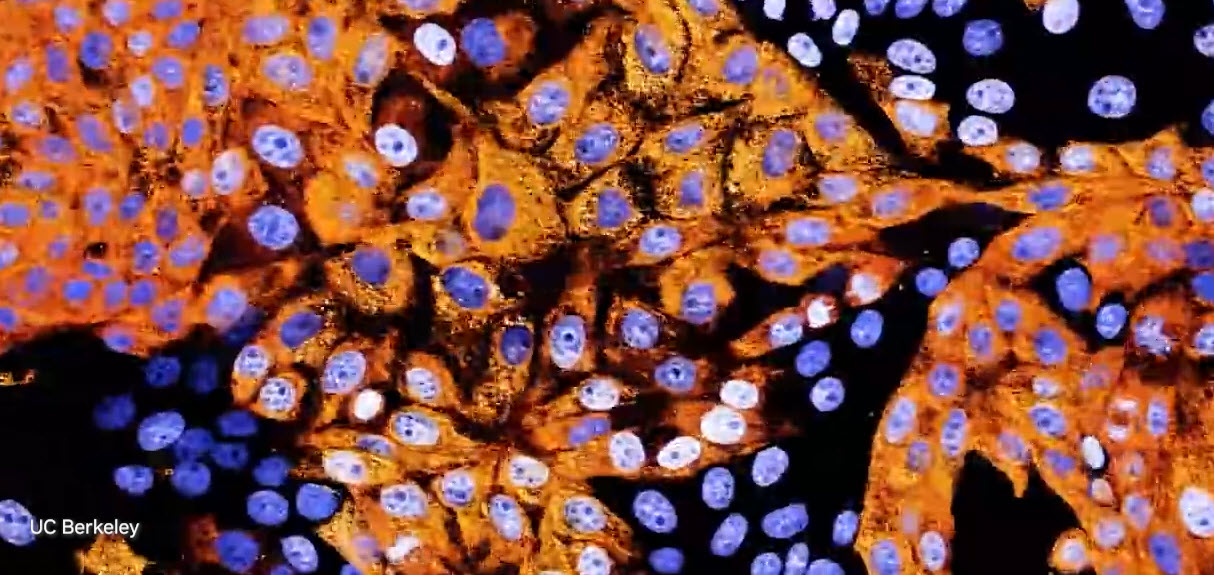 2023-06-03_12-30-39 2023 06 03 12 30 39 NVIDIA CEO Jensen Huang เปิดตัวแพลตฟอร์ม Generative AI สําหรับทุกอุตสาหกรรม