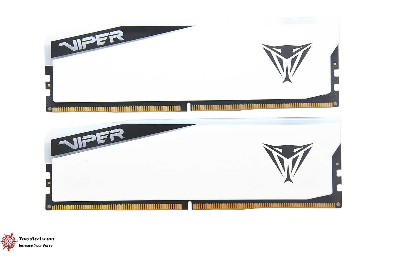 dsc_6375 dsc 6375 PATRIOT VIPER ELITE 5 RGB 48GB (24GBx2) DDR5 6000MHZ CL42 REVIEW