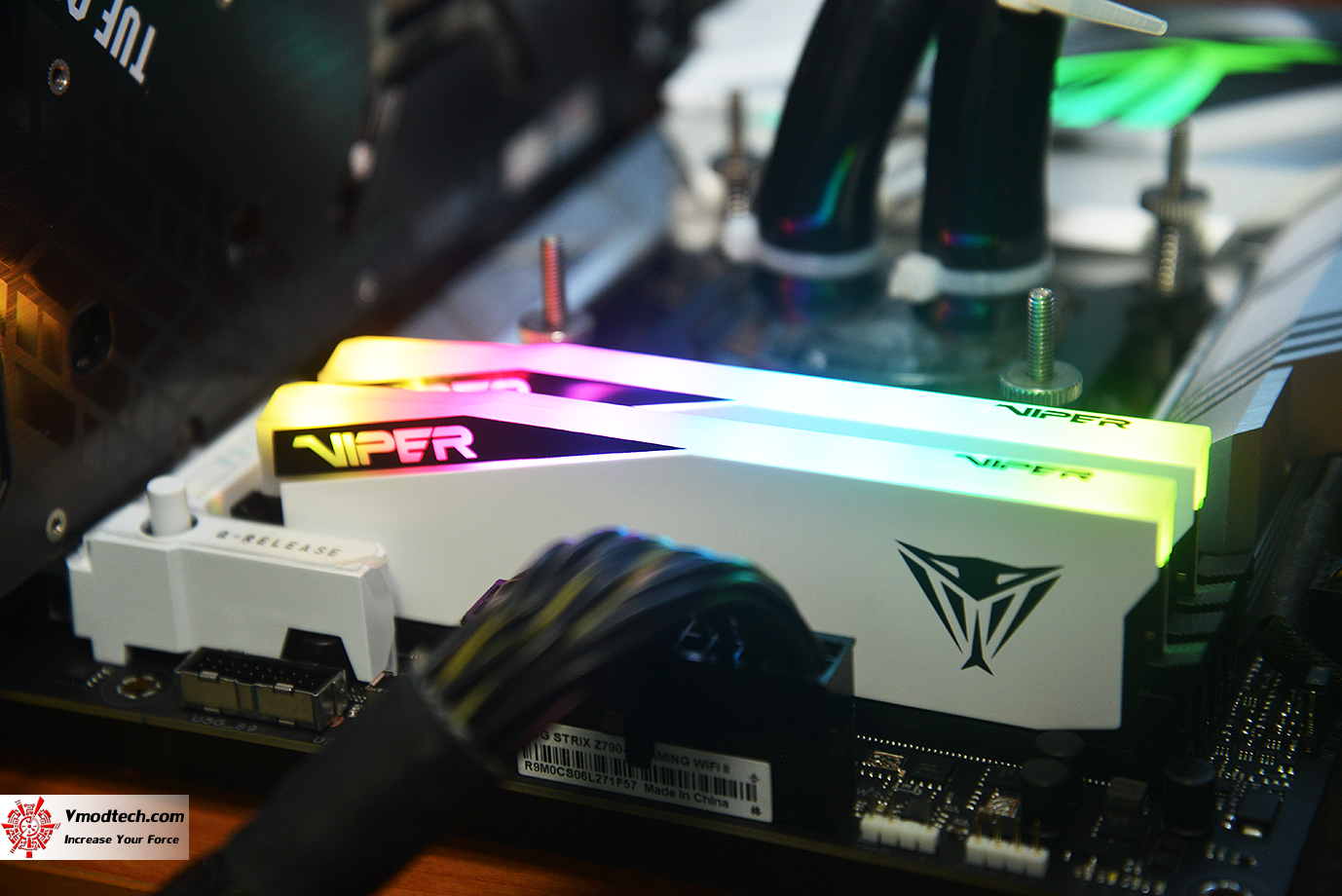 dsc_6542 dsc 6542 PATRIOT VIPER ELITE 5 RGB 48GB (24GBx2) DDR5 6000MHZ CL42 REVIEW