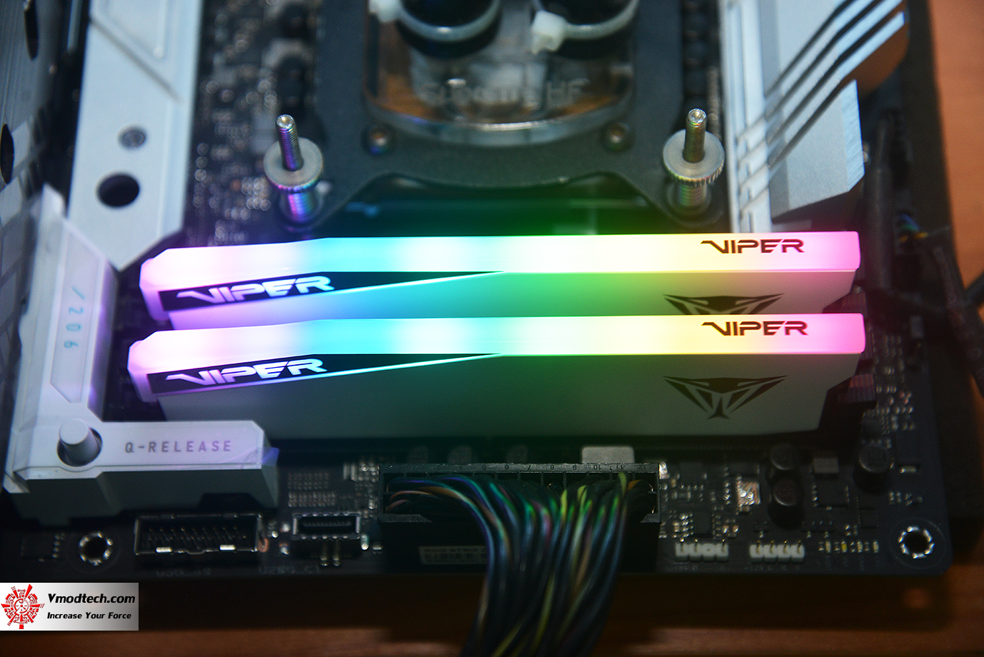 dsc_6552 dsc 6552 PATRIOT VIPER ELITE 5 RGB 48GB (24GBx2) DDR5 6000MHZ CL42 REVIEW