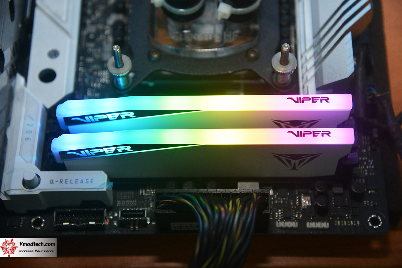 dsc_6553 dsc 6553 PATRIOT VIPER ELITE 5 RGB 48GB (24GBx2) DDR5 6000MHZ CL42 REVIEW
