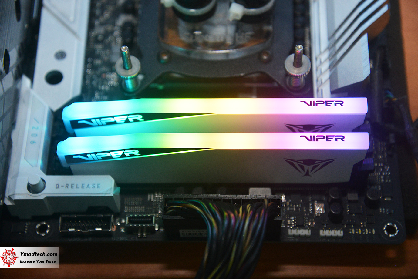 dsc_6554 dsc 6554 PATRIOT VIPER ELITE 5 RGB 48GB (24GBx2) DDR5 6000MHZ CL42 REVIEW