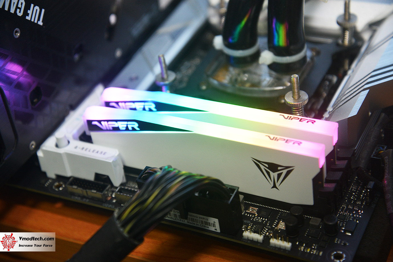 dsc_6562 dsc 6562 PATRIOT VIPER ELITE 5 RGB 48GB (24GBx2) DDR5 6000MHZ CL42 REVIEW