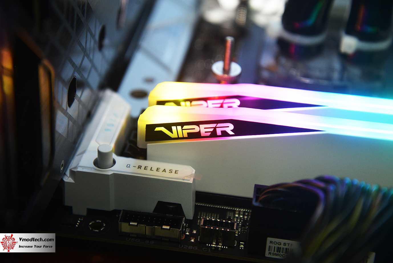 dsc_6572 dsc 6572 PATRIOT VIPER ELITE 5 RGB 48GB (24GBx2) DDR5 6000MHZ CL42 REVIEW