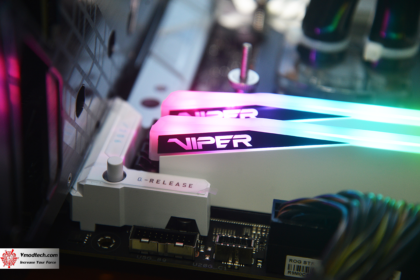 dsc_6573 dsc 6573 PATRIOT VIPER ELITE 5 RGB 48GB (24GBx2) DDR5 6000MHZ CL42 REVIEW