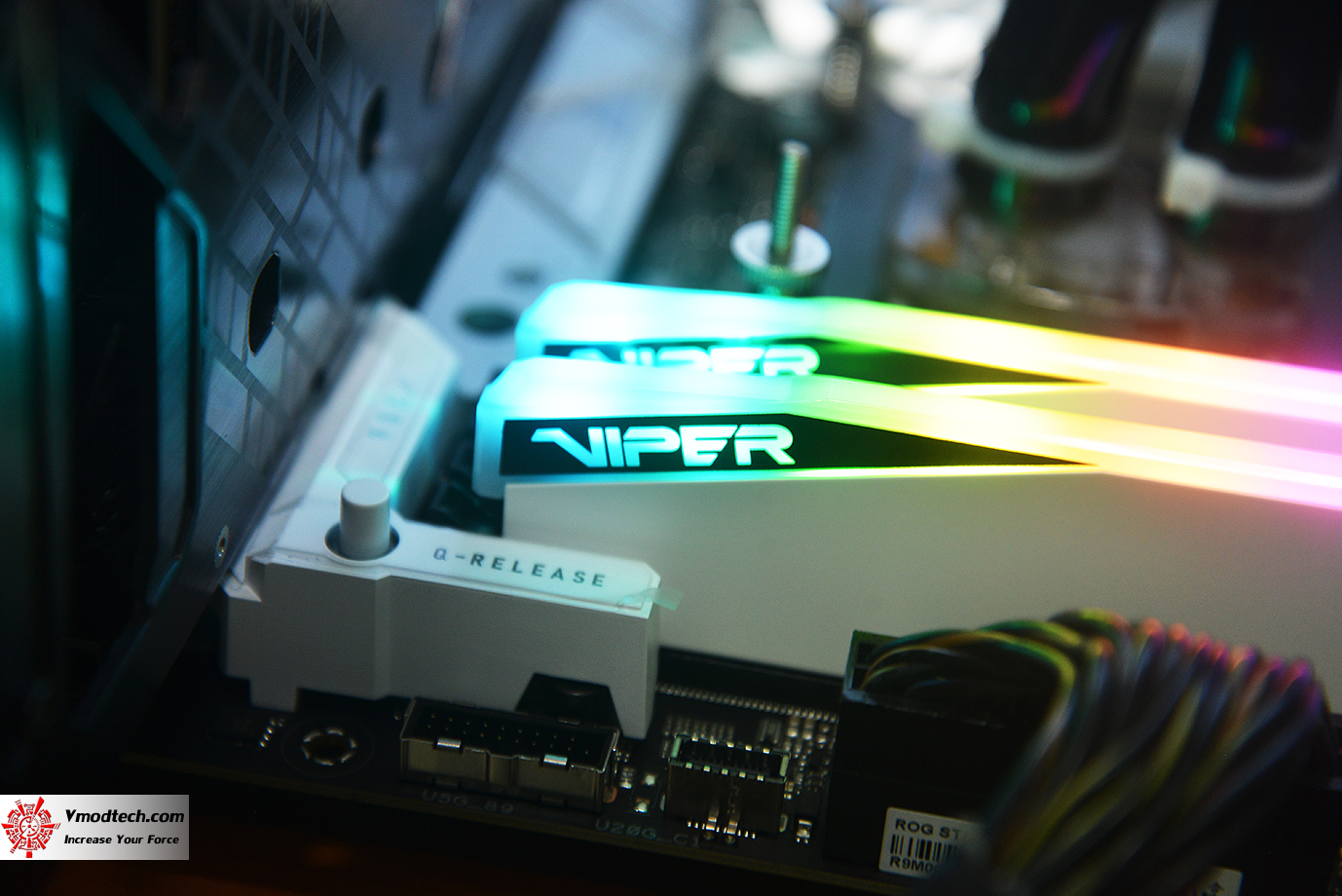 dsc_6576 dsc 6576 PATRIOT VIPER ELITE 5 RGB 48GB (24GBx2) DDR5 6000MHZ CL42 REVIEW