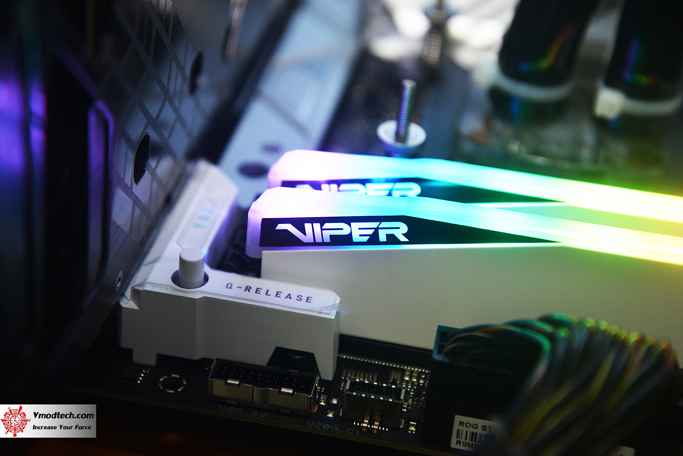 dsc_6581 dsc 6581 PATRIOT VIPER ELITE 5 RGB 48GB (24GBx2) DDR5 6000MHZ CL42 REVIEW
