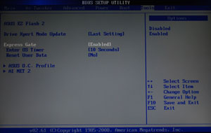 resize-bios0010