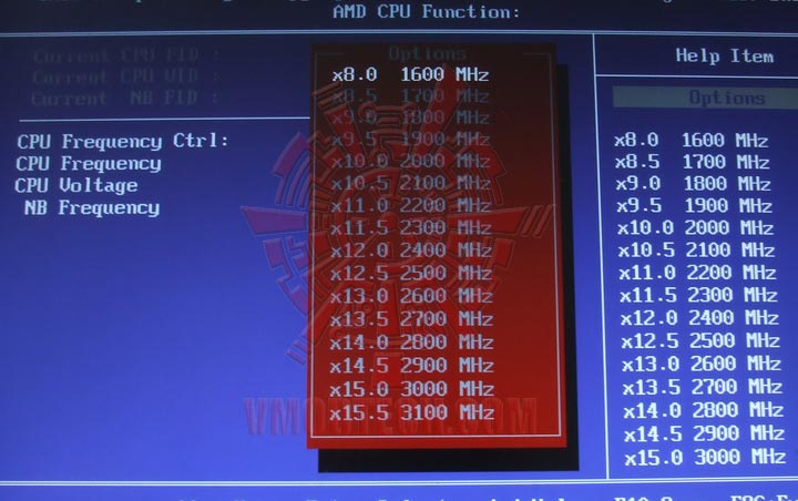 rdscf8800 Athlon II X2 240 Unlock to Opteron 1300 Multiple X25 stable!!