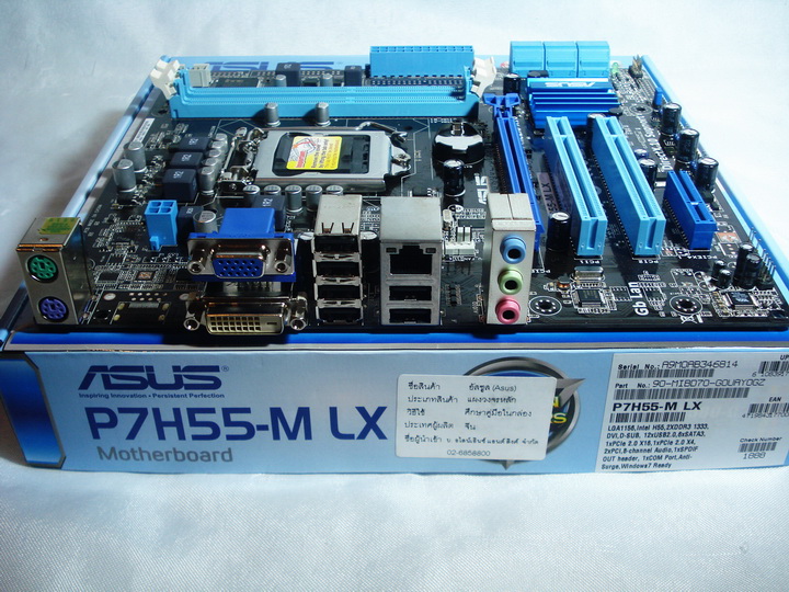 back panel ASUS P7H55 M LX