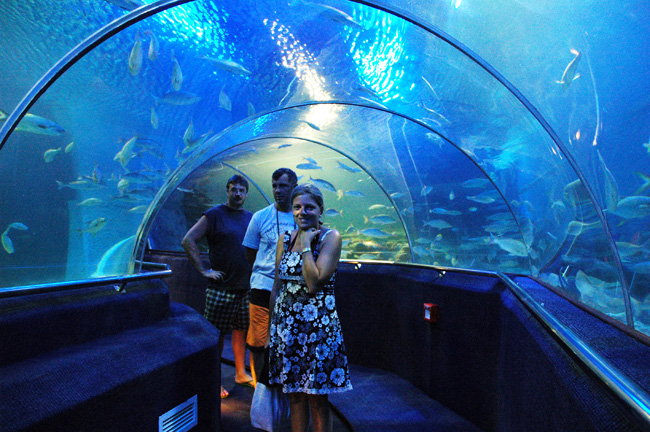 tc06 NVIDIA Regional Press Conference @ Vinpearl Resort Vietnam