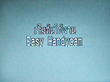 DSC 3436 SONY DCR SR40 Hard Disk Handy Cam