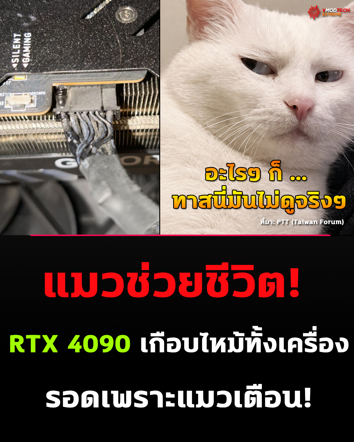 แมวช่วยชีวิต! RTX 4090 เกือบไหม้ทั้งเครื่อง หลังส่งเสียงเตือนเจ้าของทันเวลา