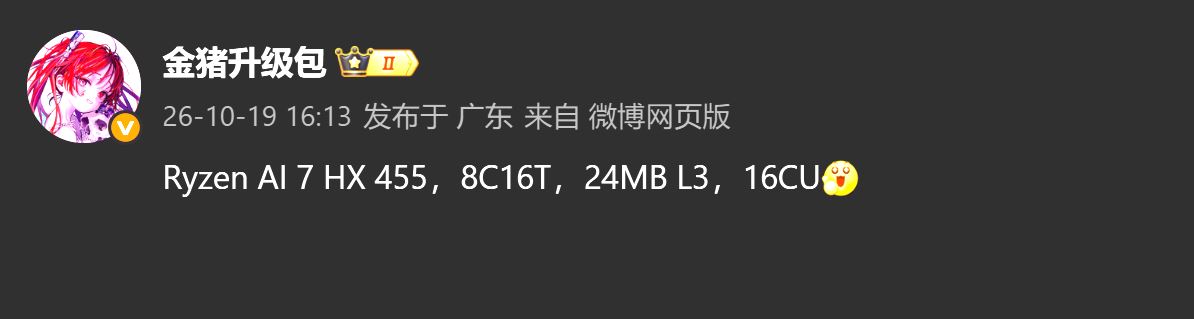 ryzen-ai-7-hx-455 ryzen-ai-7-hx-455