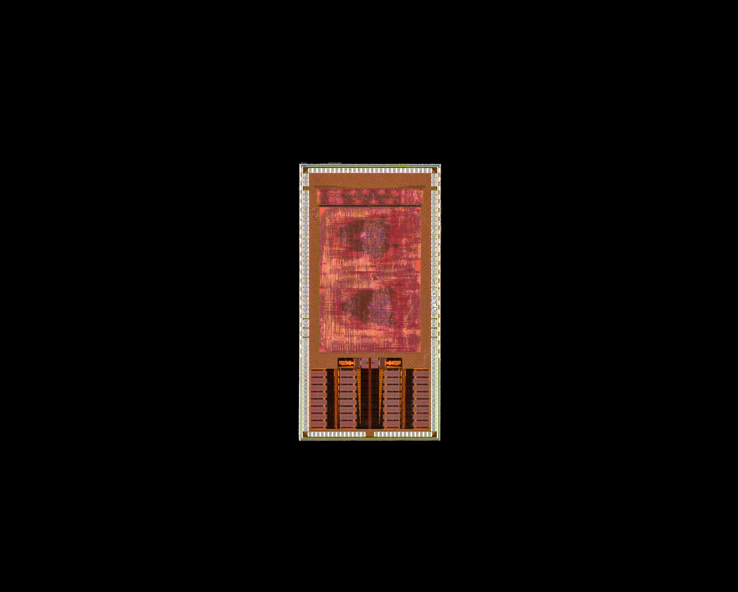 neural-chip-decodes-in neural-chip-decodes-in